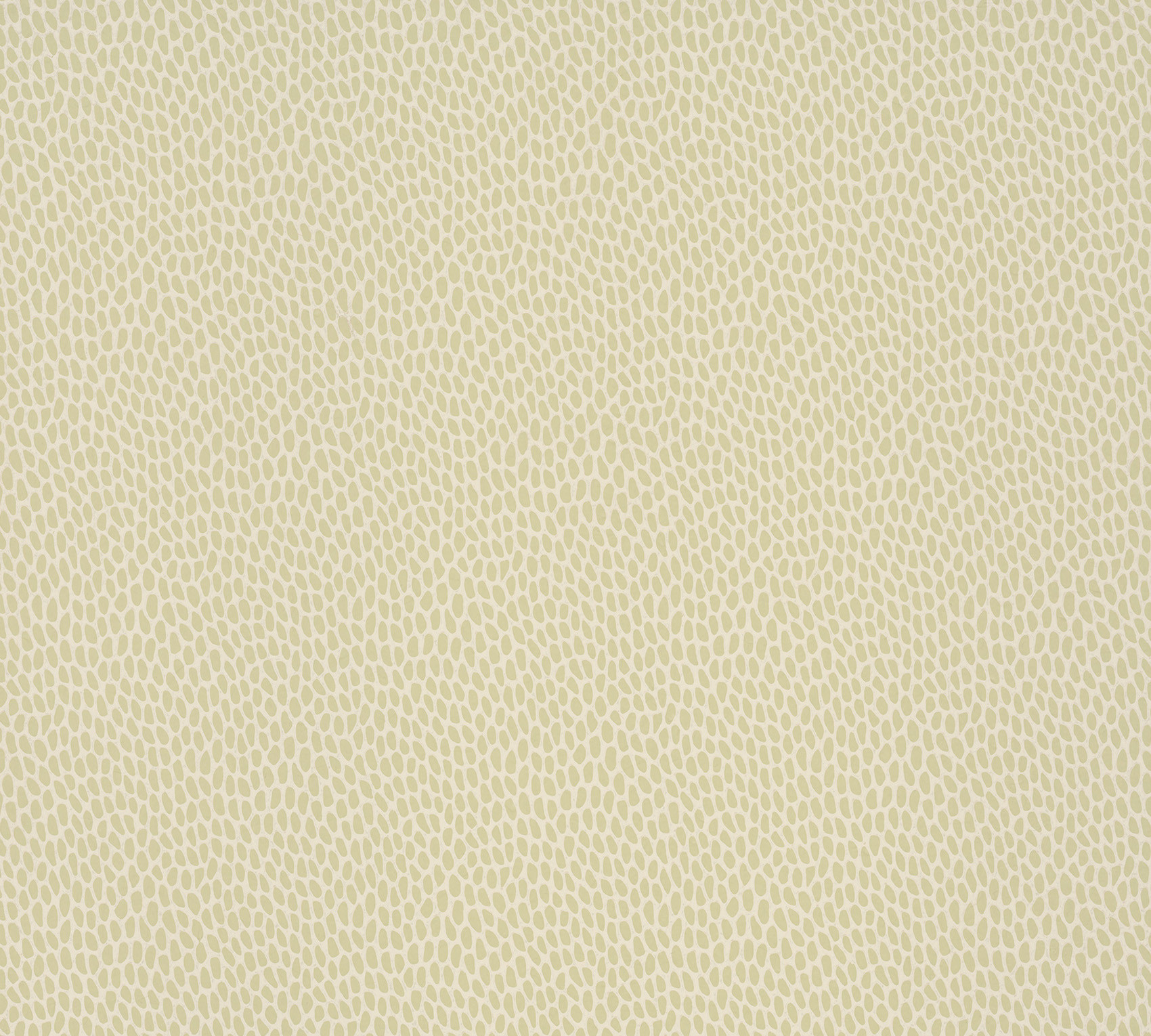 Обои Paint & Paper Library Botany Seedpod Willow V 0360SEWILLO